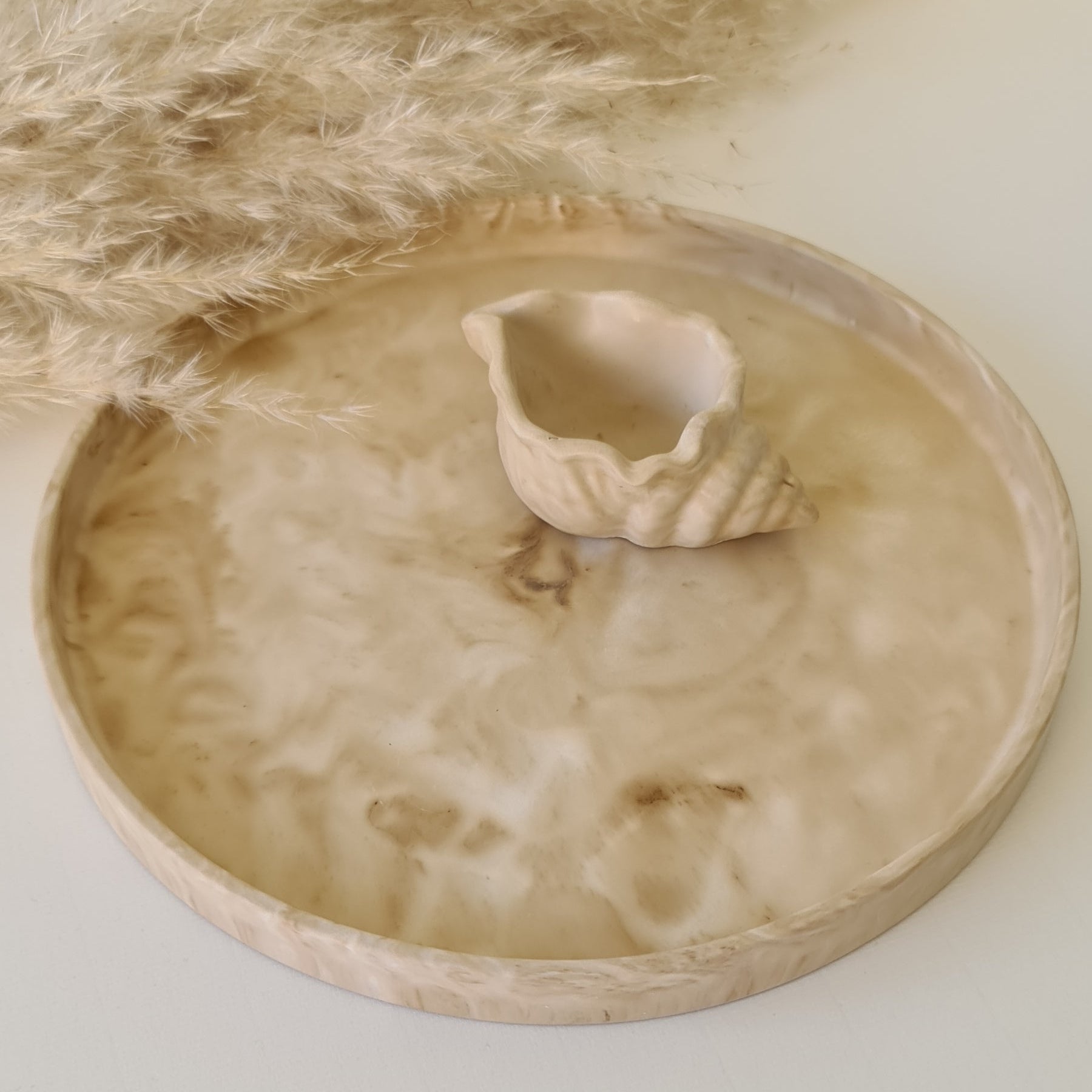 Decorative tray with a conch shell on a plain background with pampas