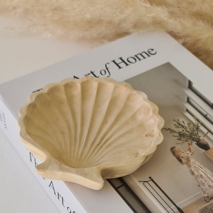 Seashell on a book with a pampas in the background